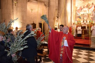 El Obispo bendice las palmas y preside la Eucaristía del Domingo de Ramos en la Catedral