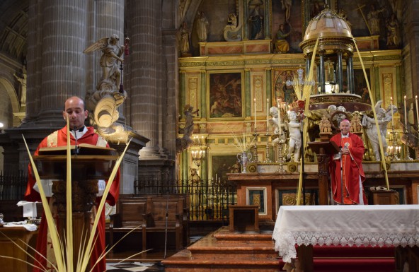Entrada triunfal de Jesús en los hogares de Jaén