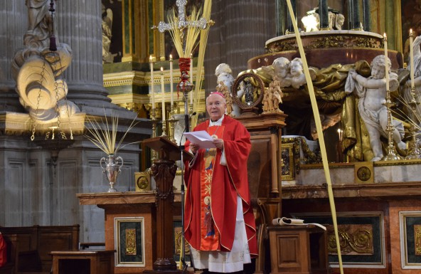 Homilía del Obispo de Jaén en el Domingo de Ramos