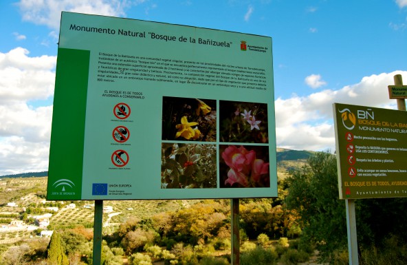 La Pastoral de la Ecología de Jaén elaboran un vídeo interactivo con motivo de la Semana Ludato Si’