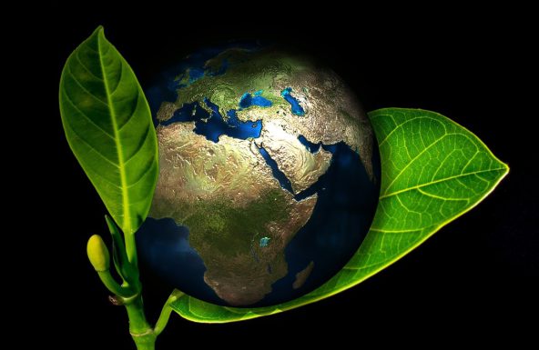 Tres enfoques sobre el cuidado de la Tierra