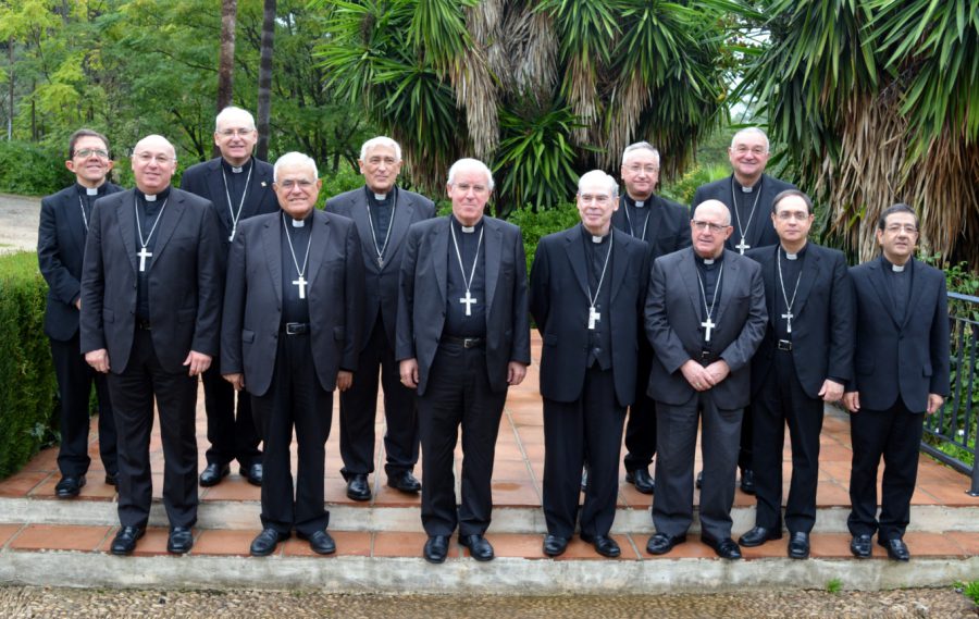 Comunicado de la CLVII Asamblea Ordinaria de los Obispos del Sur de España