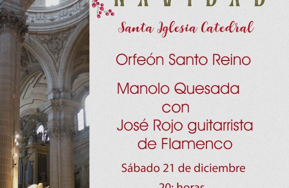 Concierto de Navidad, a favor de Manos Unidas, en la Catedral