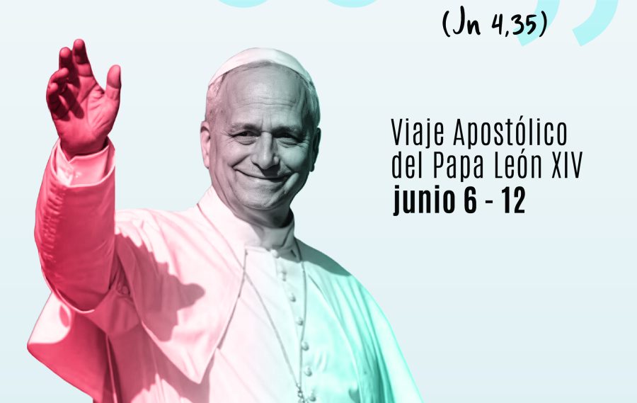Alrededor de 500 fieles diocesanos participarán en Madrid en la visita del Santo Padre a España